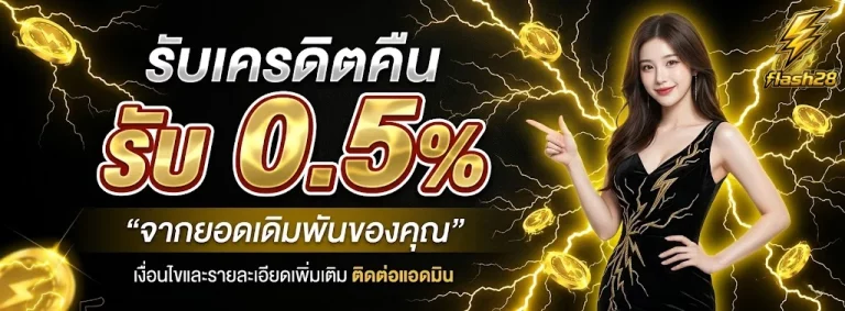 flash28-โปรโมชั่น